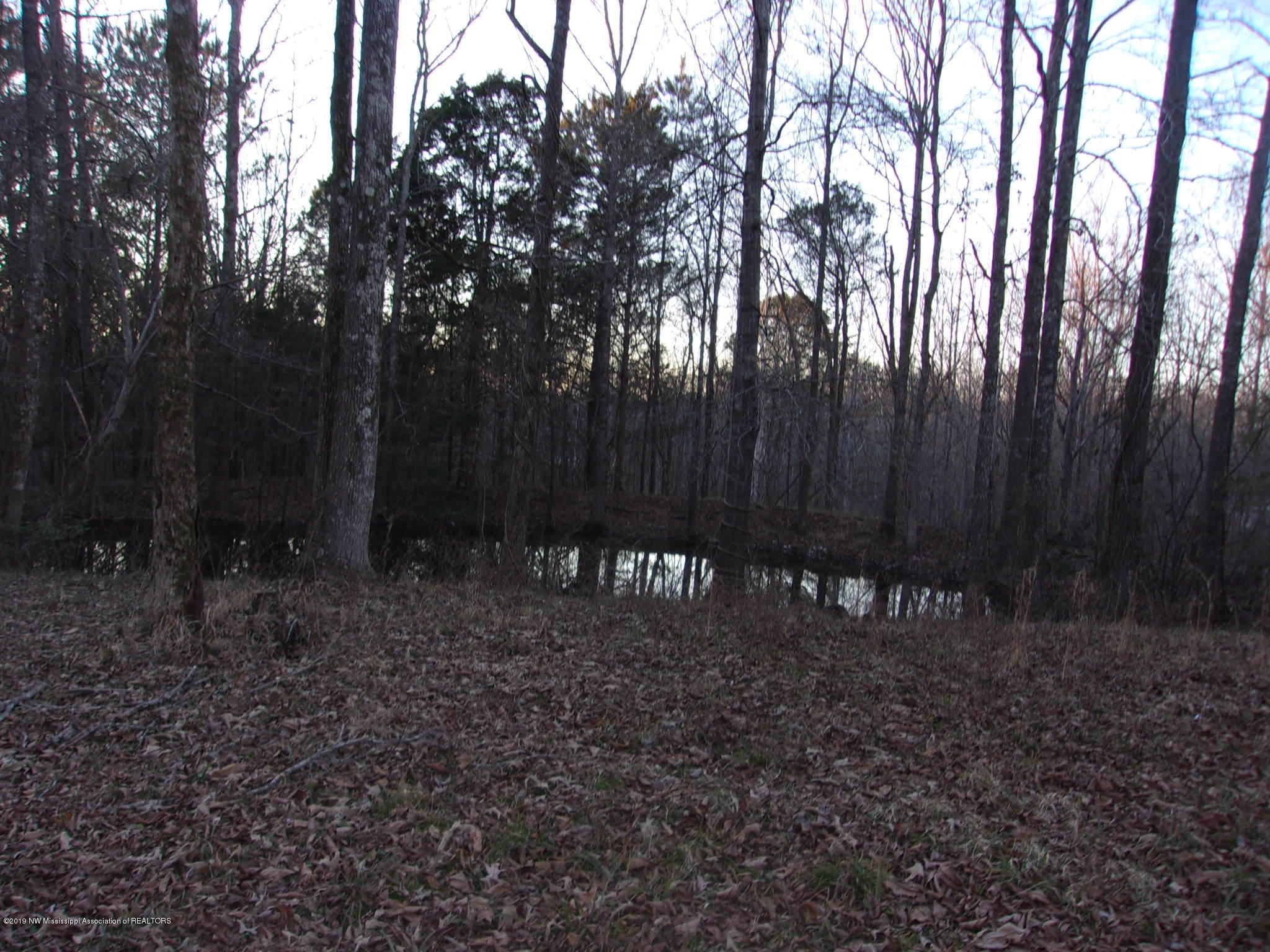 2173 Liberty Hill Road Courtland, MS 38620 - Photo 10 of 16 KODAK Digital Still Camera