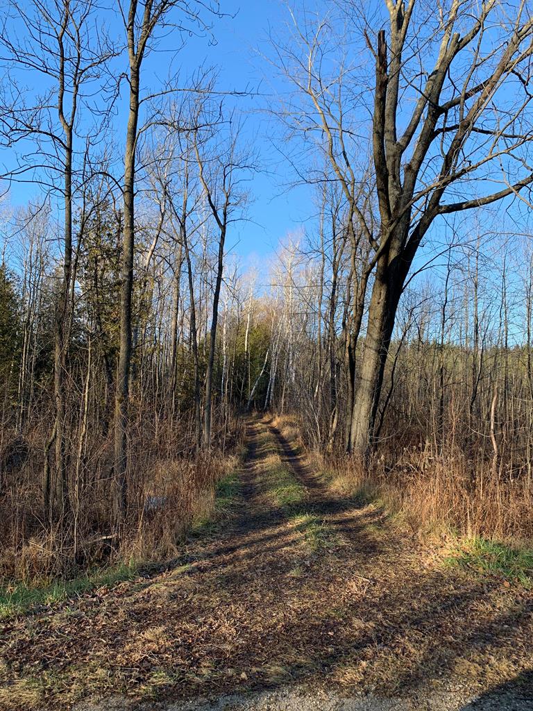Tbd Idlewild Road Sturgeon Bay, WI 54235 - Photo 1 of 1