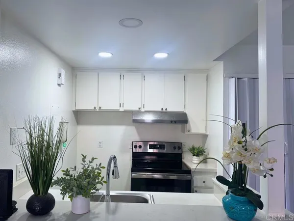 a kitchen with a potted plant on the counter and cabinets