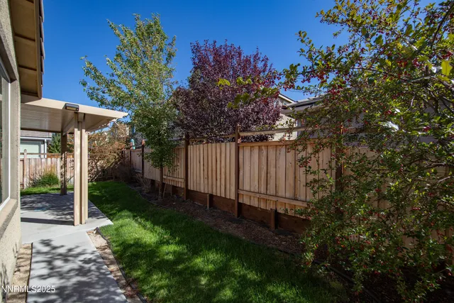 a view of a backyard with plants and large trees
