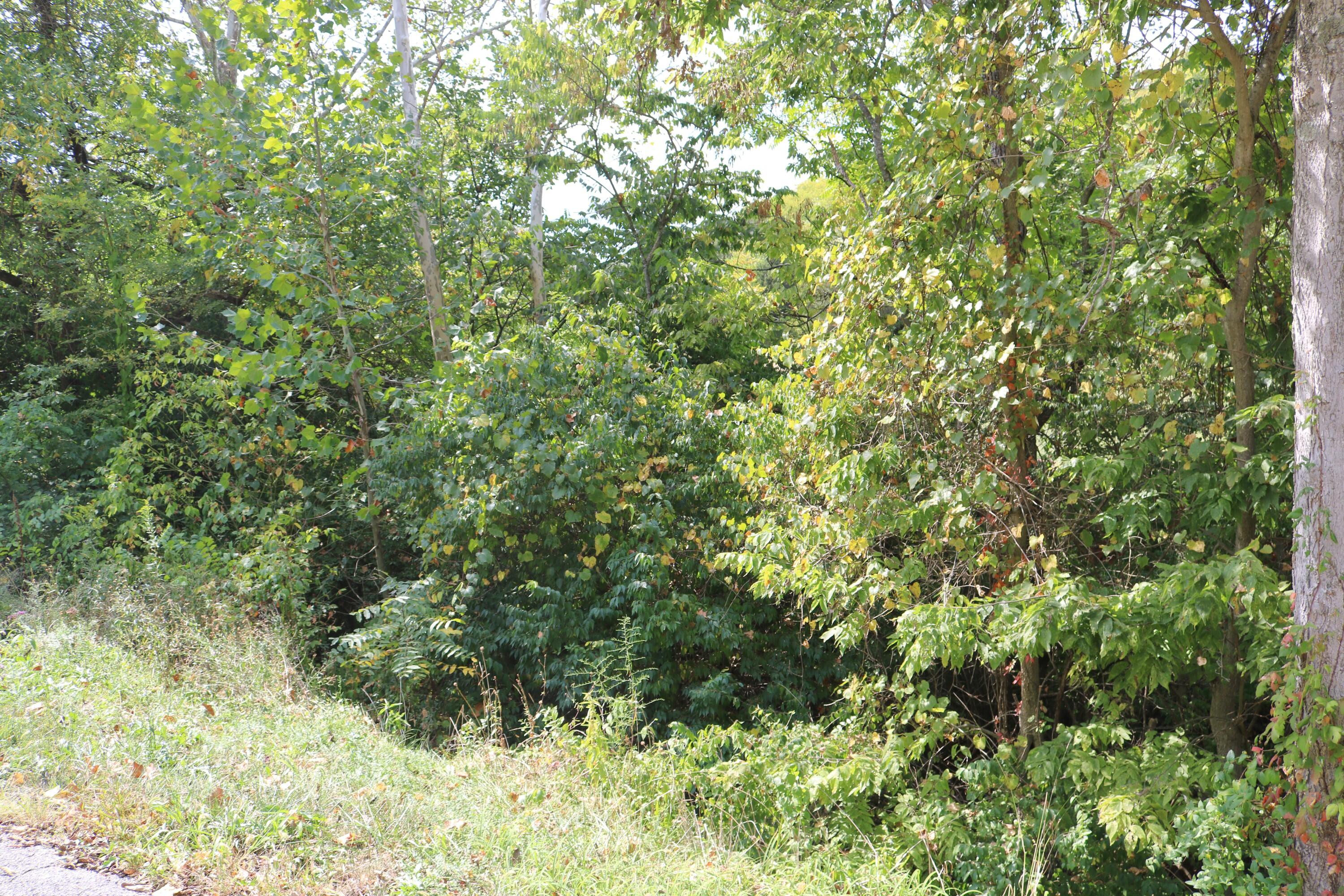 1.04 Acres Uhl Road Melbourne, KY 41059 - Photo 9 of 14 Gallery Image 9