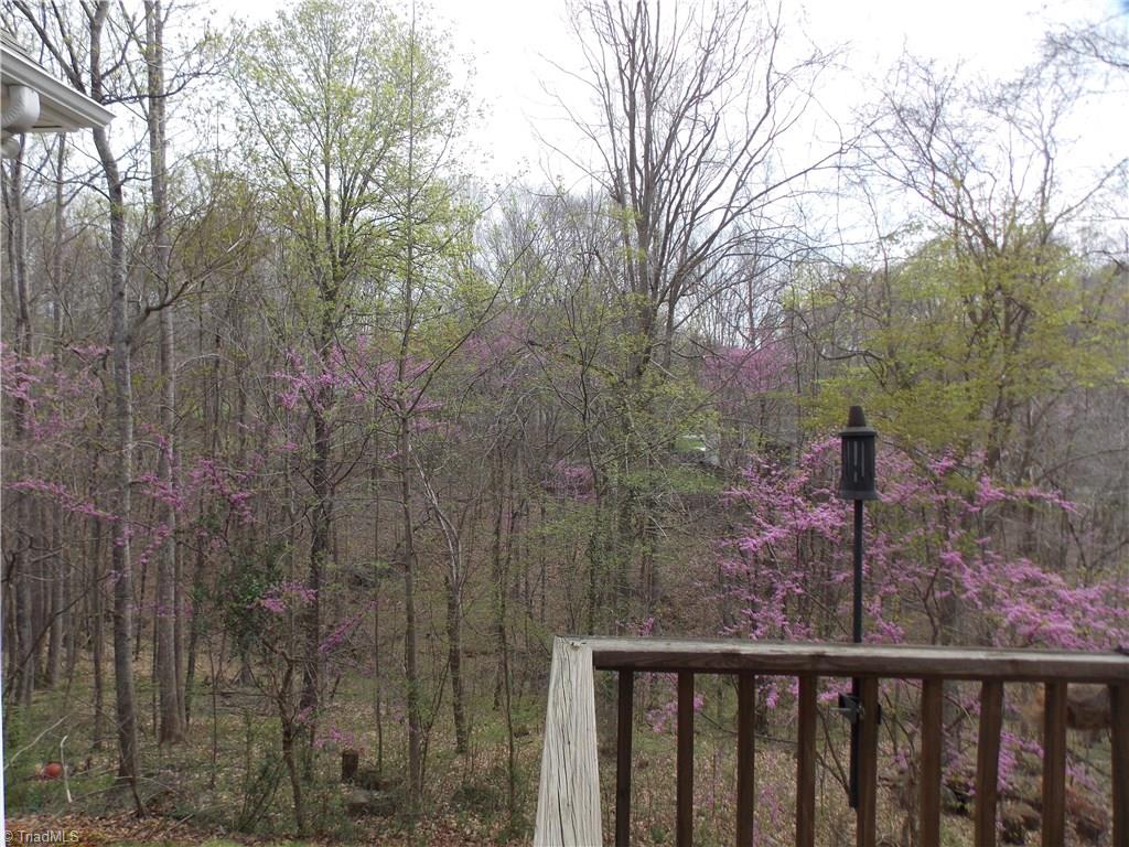 7802 Perthshire Drive Oak Ridge, NC 27310 - Photo 30 of 30 View of private wooded area from back deck