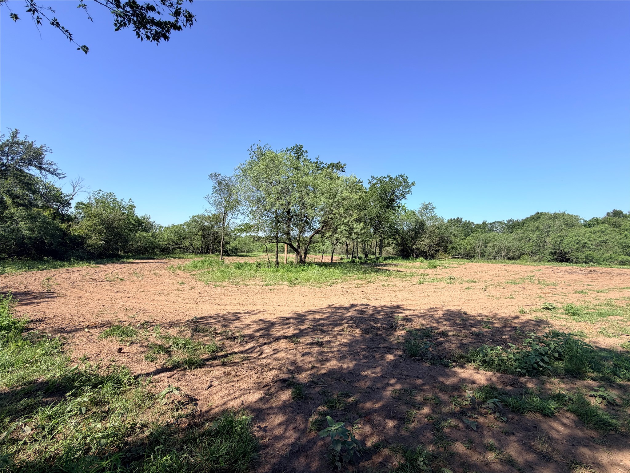 150 Pumper Road Luling, TX 78648 - Photo 18 of 24 Cultivated land ready for planting, bordered by lush green foliage under a clear sky.