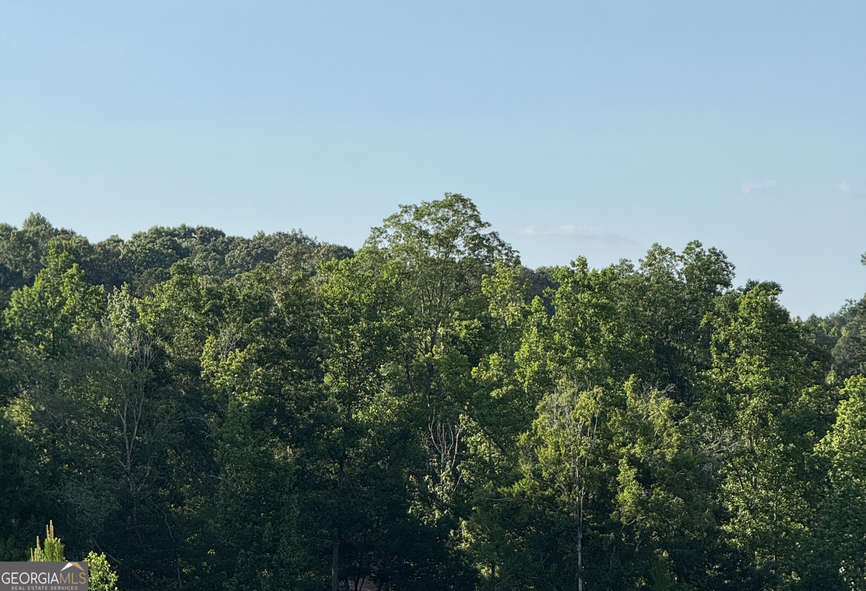 0 Co Rd 49 Muscadine, AL 36269 - Photo 4 of 6