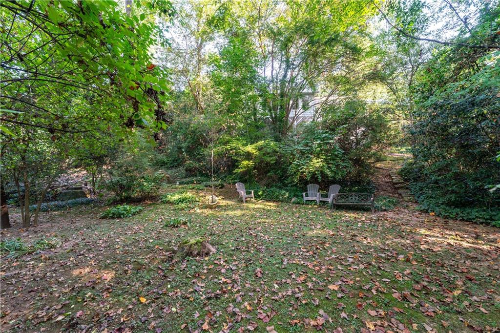 819 Gardenia Lane Decatur, GA 30033 - Photo 41 of 41 a big yard with lots of green space and deers