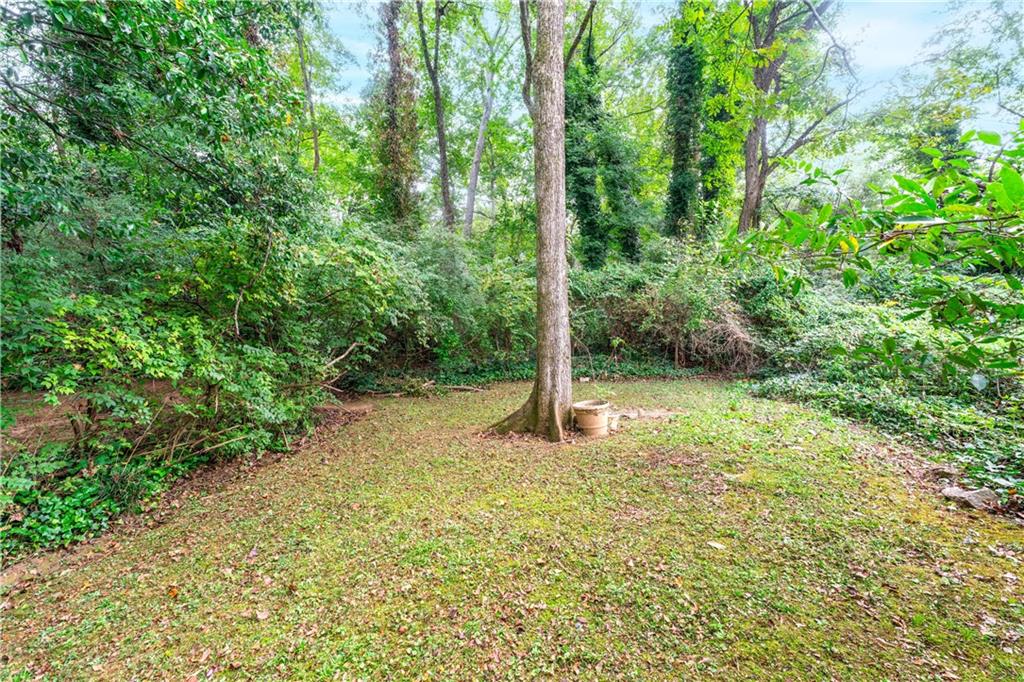 819 Gardenia Lane Decatur, GA 30033 - Photo 9 of 41 a backyard of a house with lots of green space