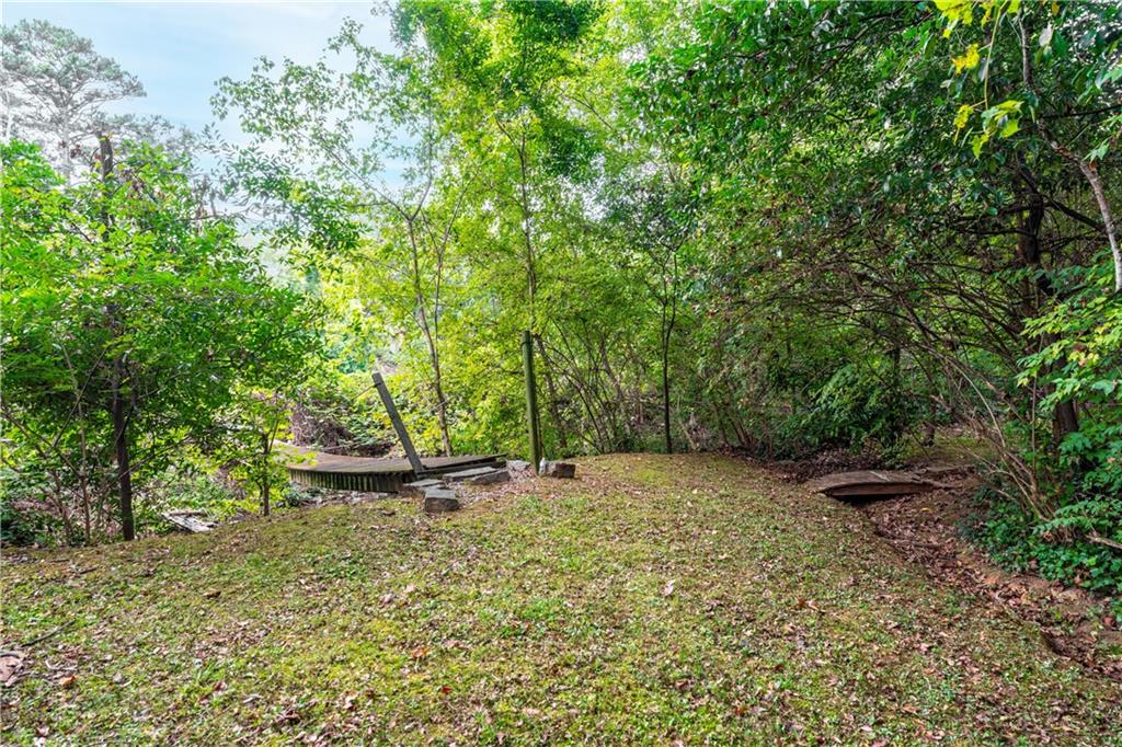 819 Gardenia Lane Decatur, GA 30033 - Photo 10 of 41 a backyard of a house with lots of green space