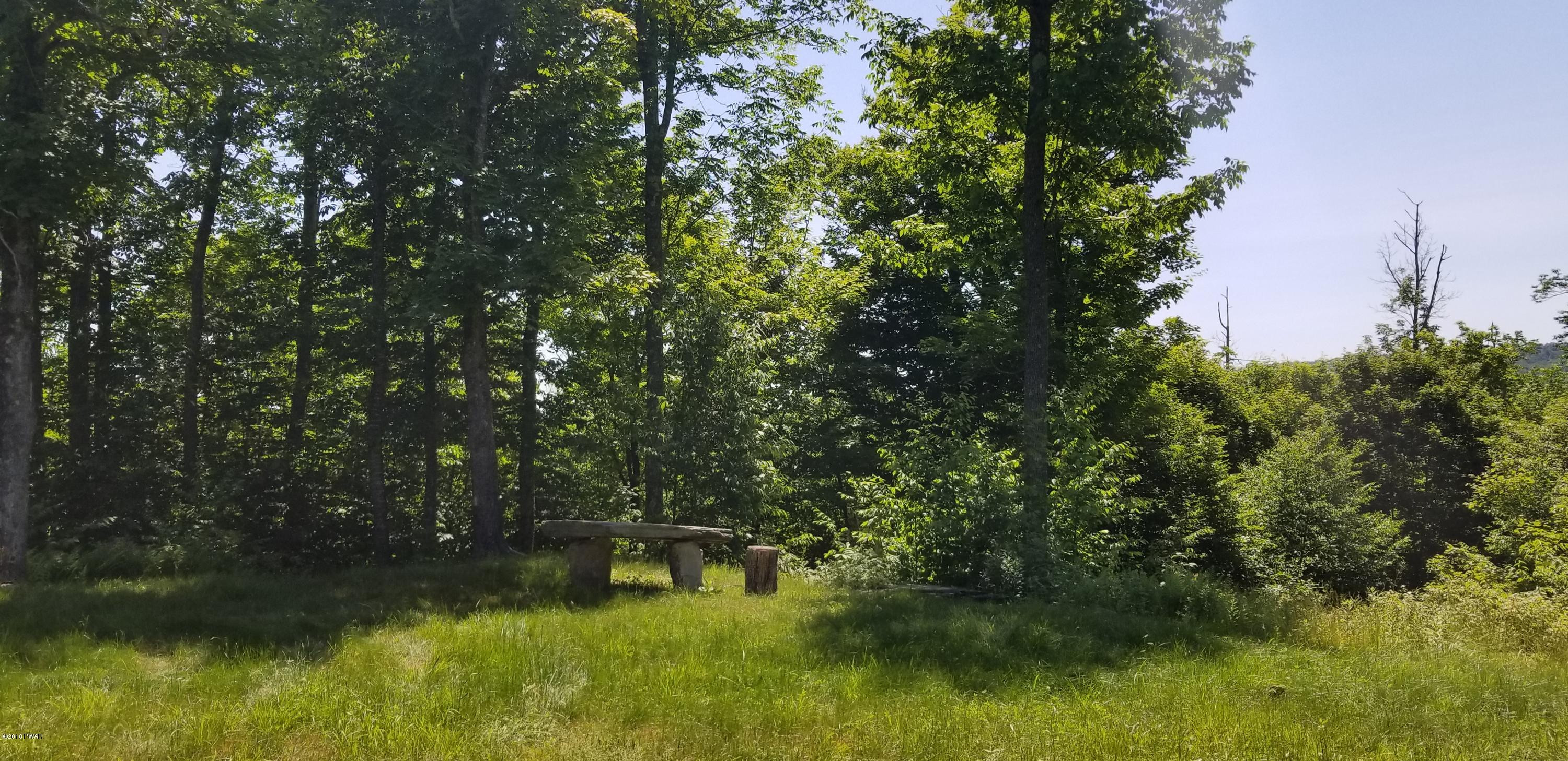 Lot 63 Old Woods Road Equinunk, PA 18417 - Photo 33 of 63