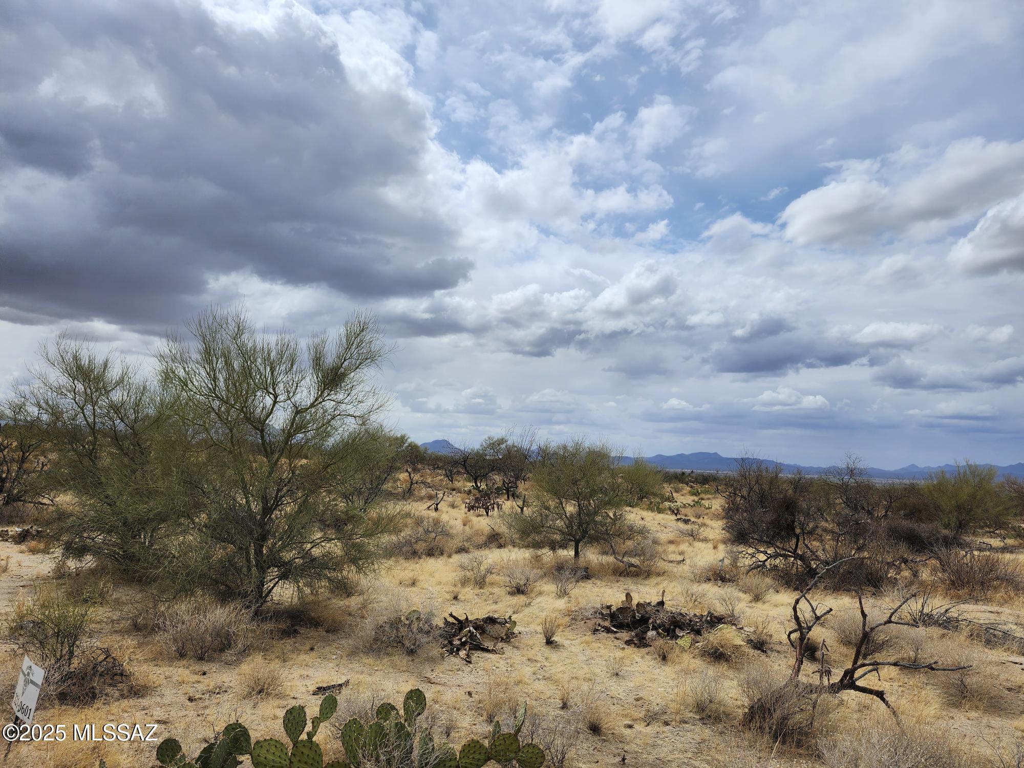 12815 West Gunsmoke Road, Unit 24 Tucson, AZ 85736 - Photo 3 of 7