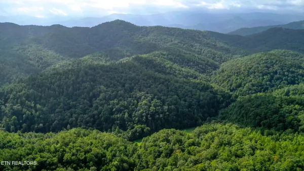 $3,895,000 | Bethel Church Road, Townsend, TN 37882
