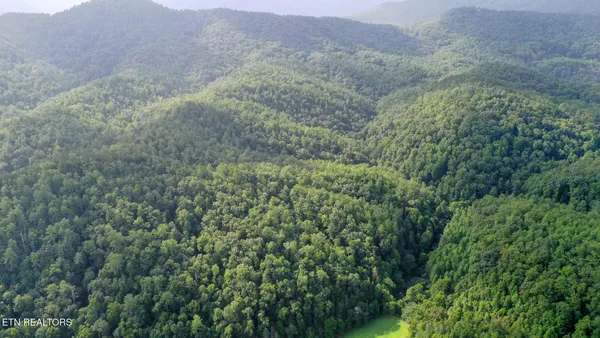 $3,895,000 | Bethel Church Road, Townsend, TN 37882