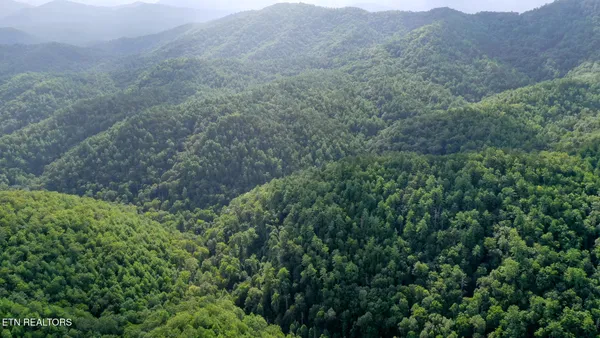 $3,895,000 | Bethel Church Road, Townsend, TN 37882