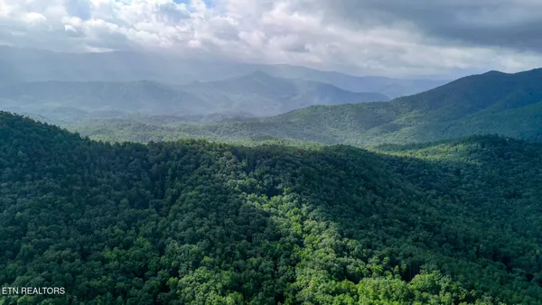 $3,895,000 | Bethel Church Road, Townsend, TN 37882