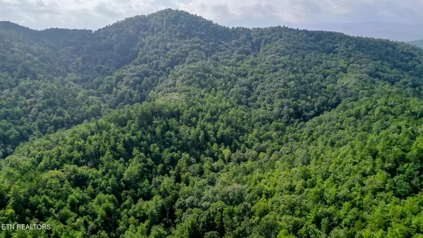 $3,895,000 | Bethel Church Road, Townsend, TN 37882