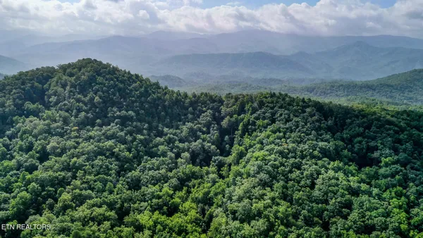 $3,895,000 | Bethel Church Road, Townsend, TN 37882