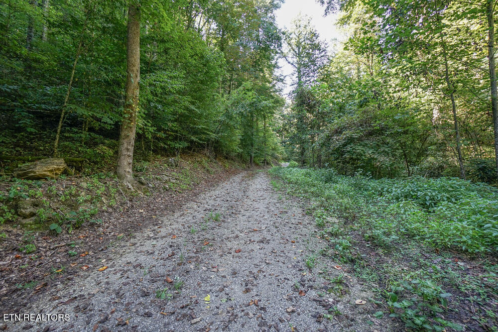 Bethel Church Road Townsend, TN 37882 - Photo 55 of 59 DSC04594-3