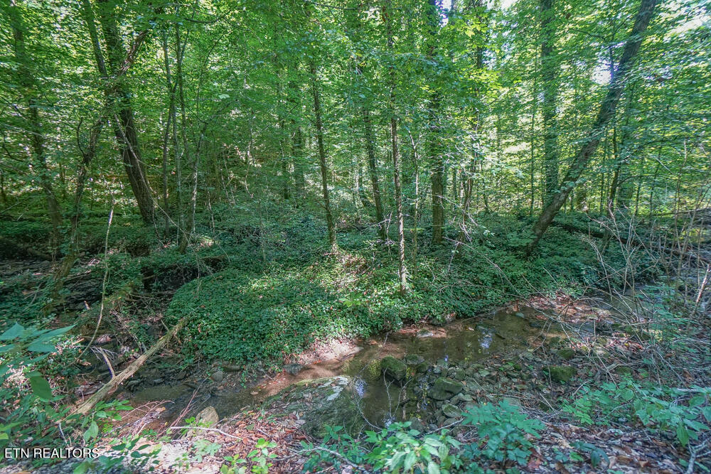 Bethel Church Road Townsend, TN 37882 - Photo 56 of 59 DSC04596-3