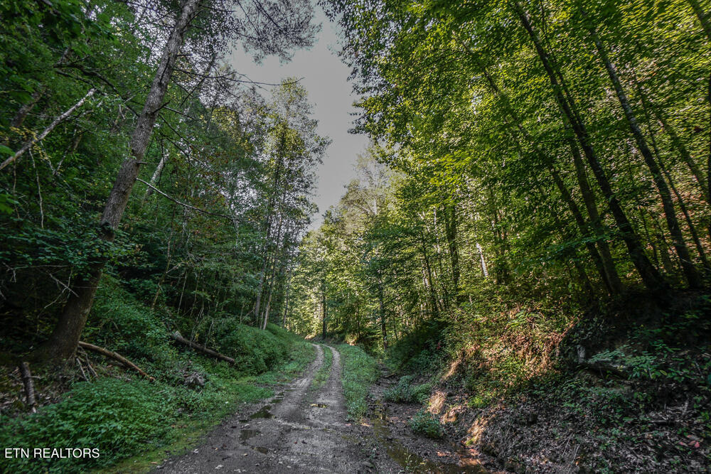 Bethel Church Road Townsend, TN 37882 - Photo 57 of 59 DSC04600-3