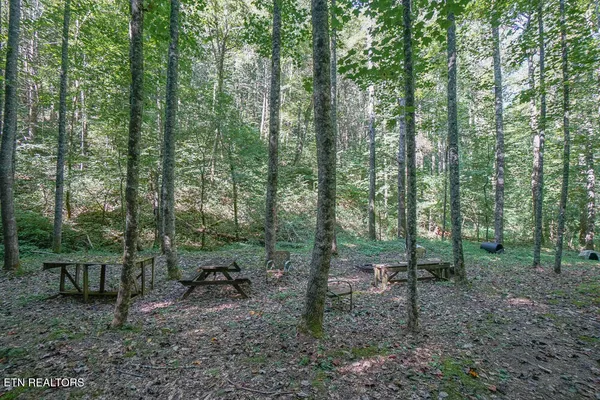 $3,895,000 | Bethel Church Road, Townsend, TN 37882