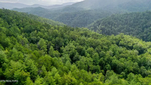 $3,895,000 | Bethel Church Road, Townsend, TN 37882