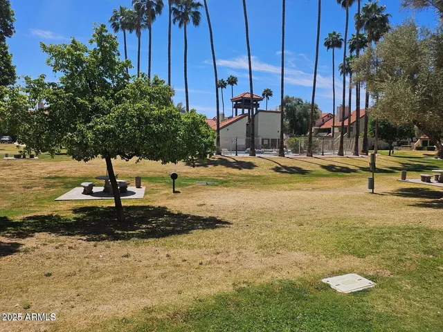 a view of a yard with palm trees