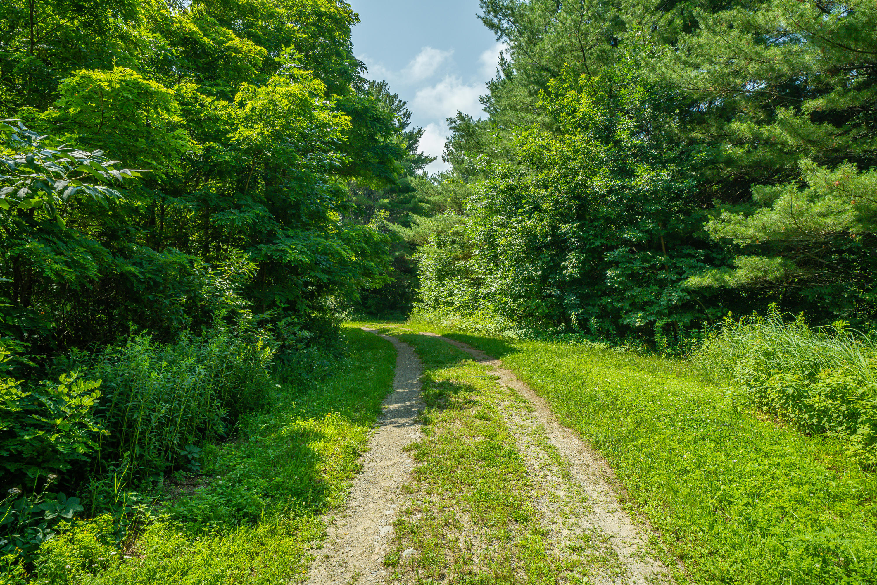 0 Marina Road Unity, ME 04988 - Photo 9 of 31 4596