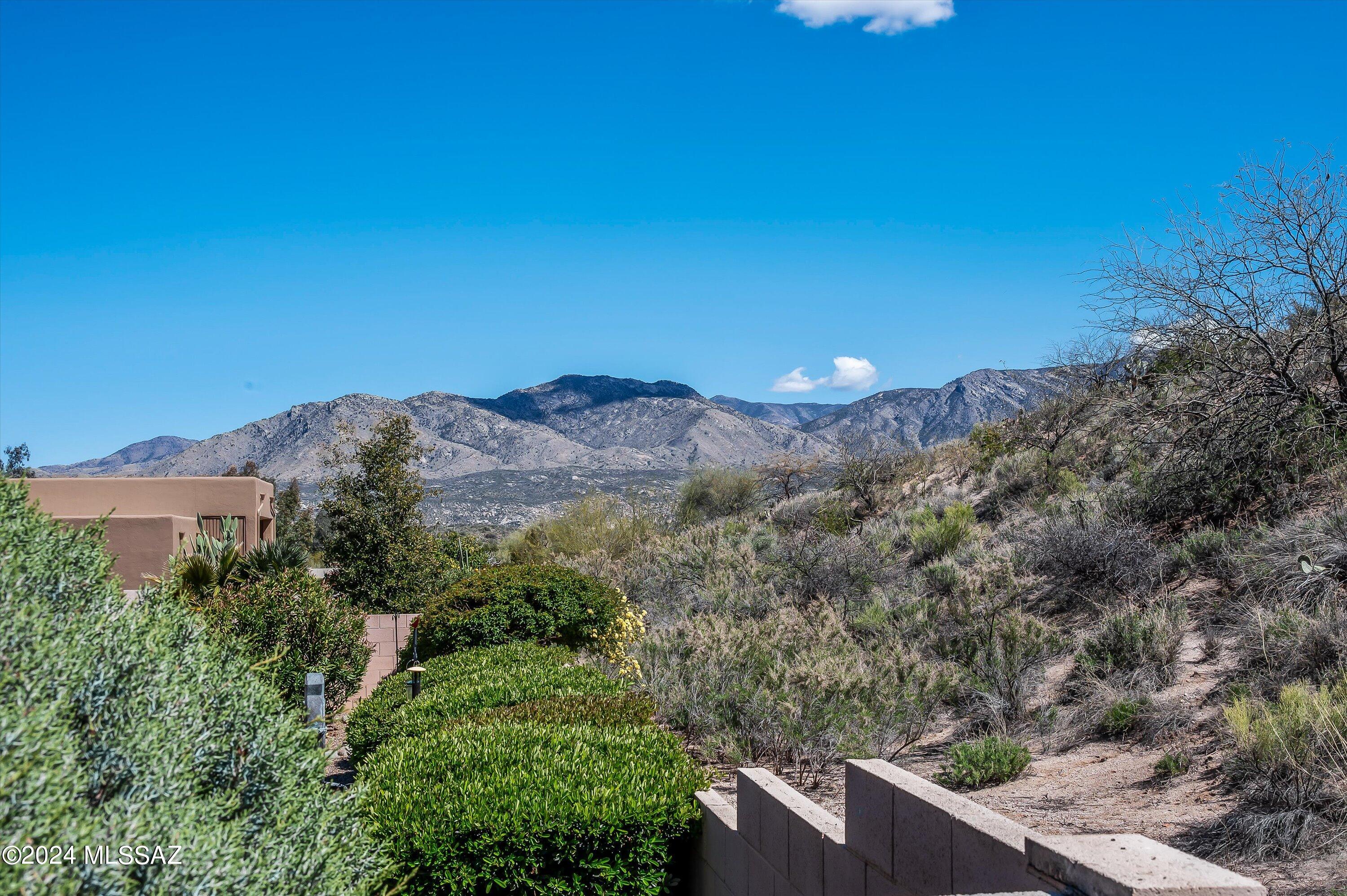 63677 East High Point Lane Saddlebrooke, AZ 85739 - Photo 39 of 47