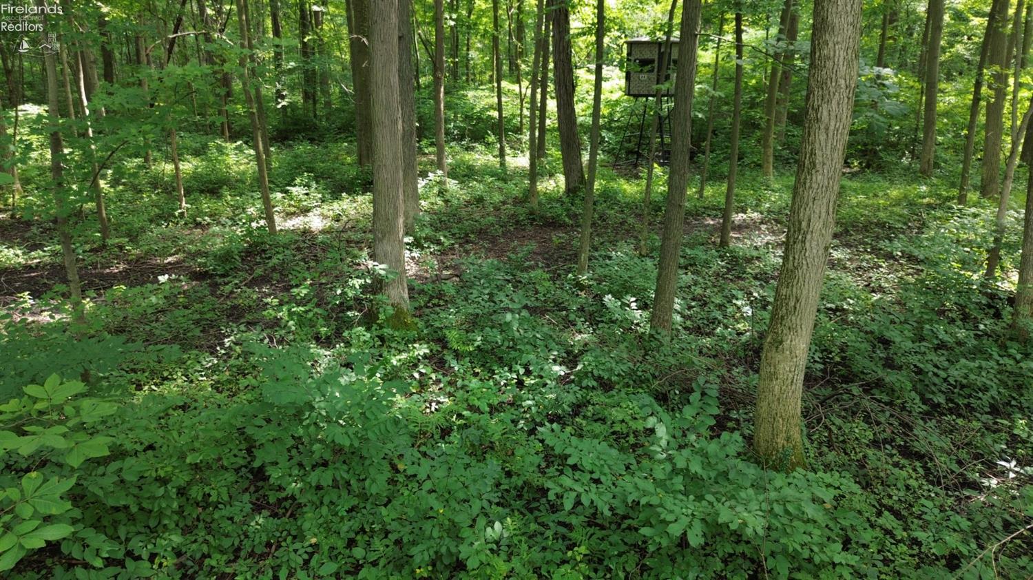 10701 Strecker Road Bellevue, OH 44811 - Photo 29 of 30 Gallery Image 29