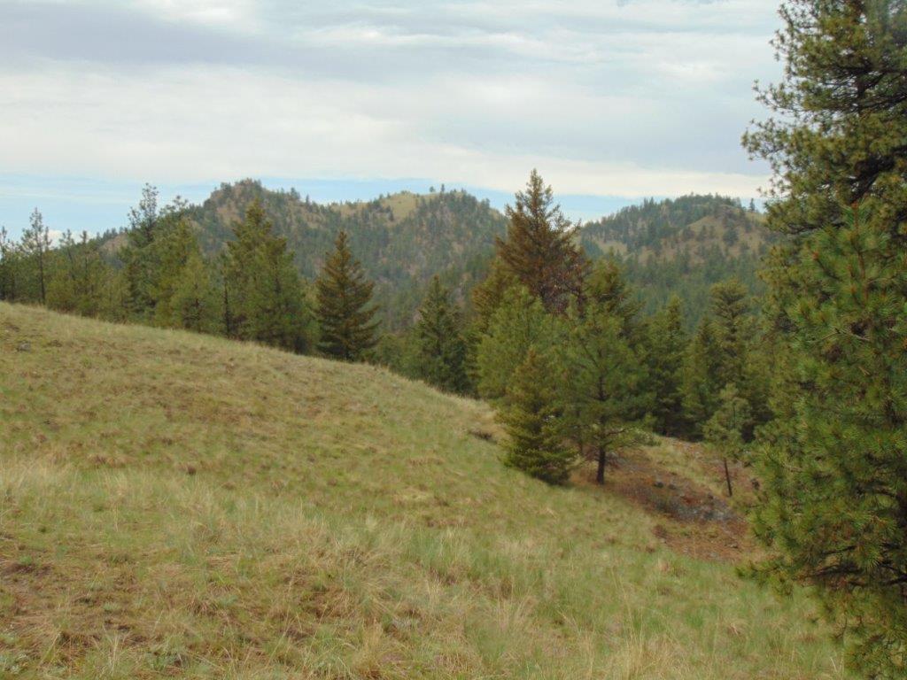 Tbd Shady Spring Lane Cascade, MT 59421 - Photo 11 of 78 Gallery Image 11