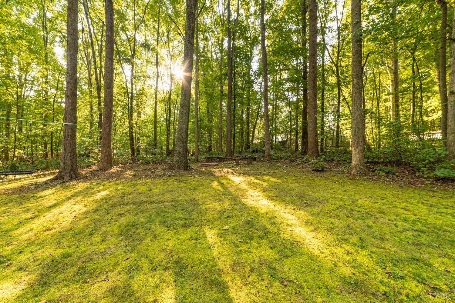 5068 Thomas Jefferson Road Forest, VA 24551 - Photo 37 of 43 Gallery Image 37