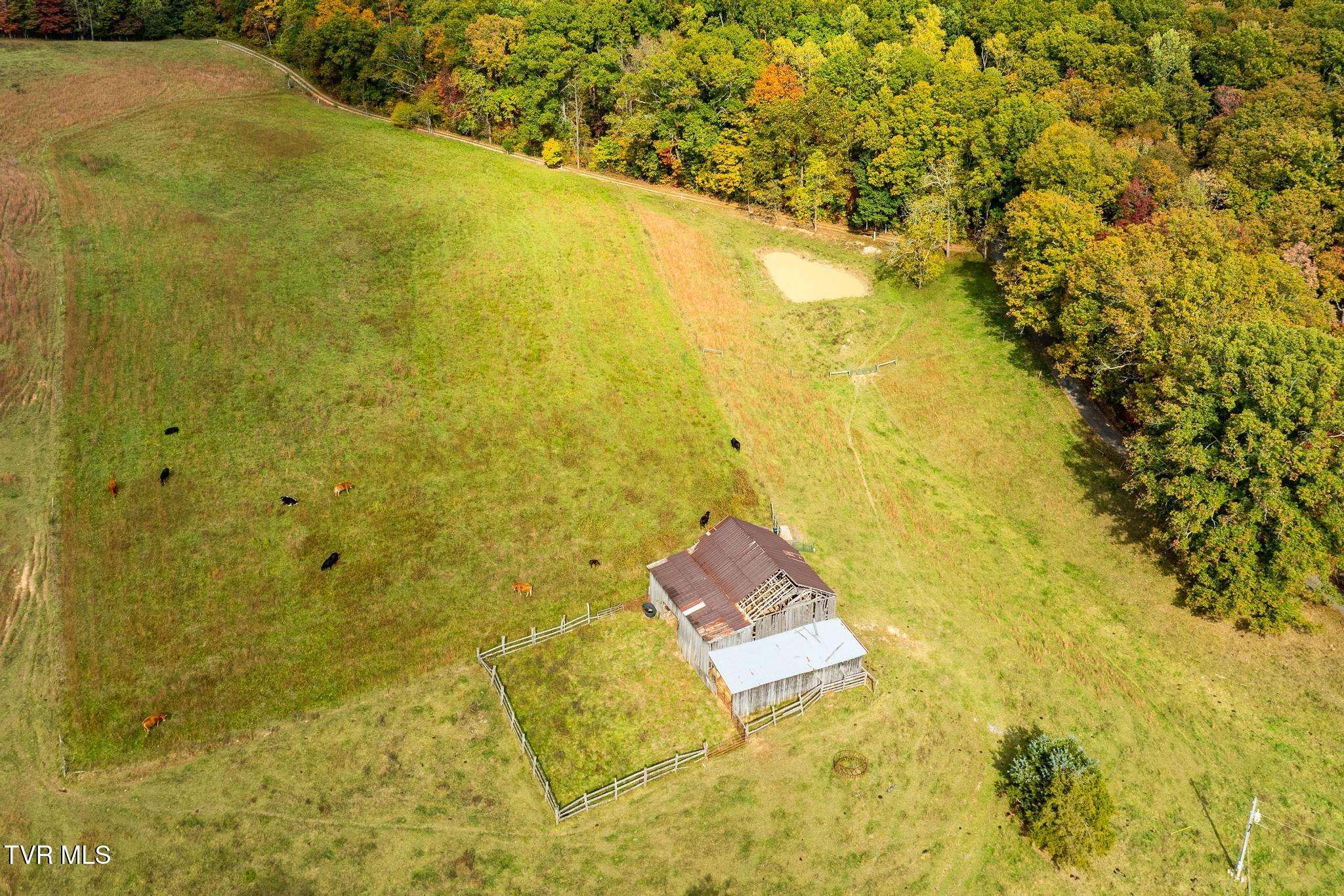 348 Clinch Valley Road Eidson, TN 37731 - Photo 59 of 120 348 Clinch Valley Rd (47 of 116)