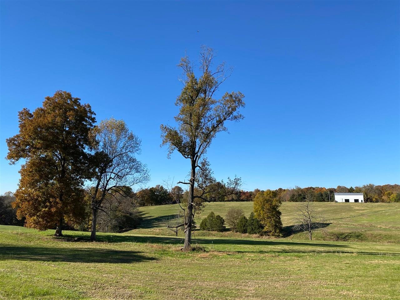 0 Cemetery Road Scottsville, KY 42164 - Photo 14 of 15 Gallery Image 14