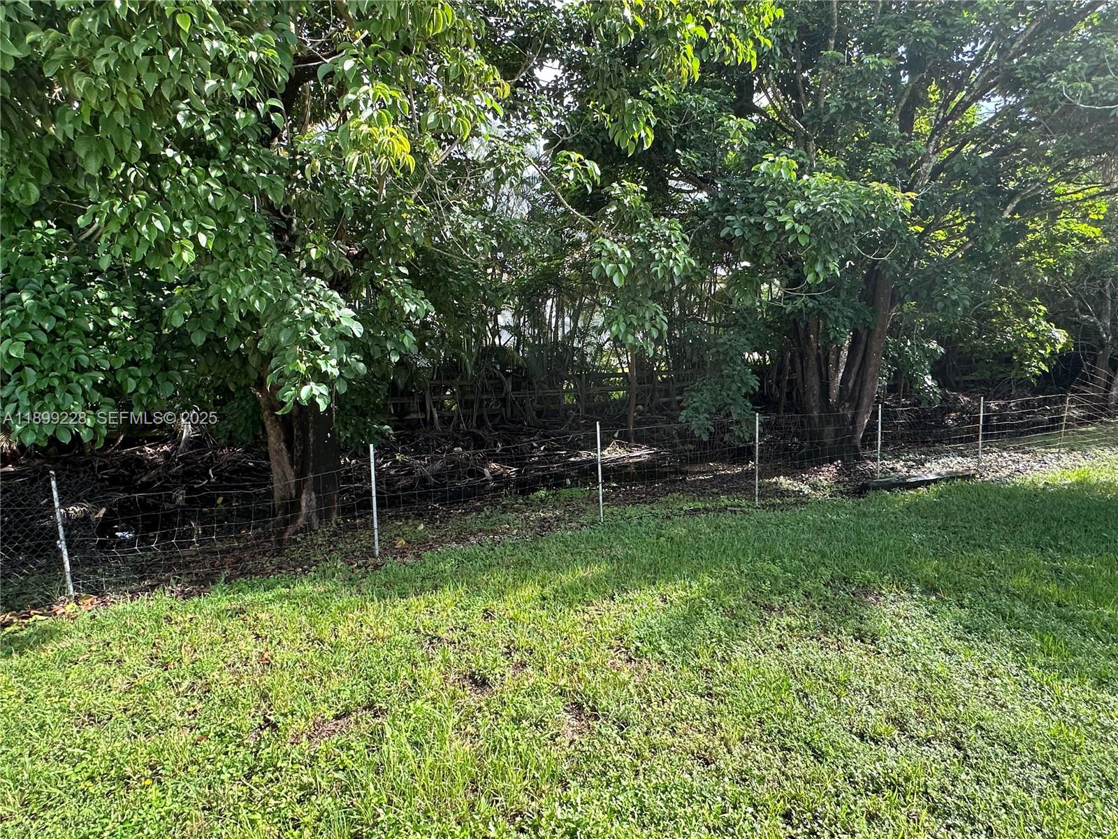 6300 Southwest 181st Lane Southwest Ranches, FL 33331 - Photo 9 of 20 a backyard of a house with lots of green space