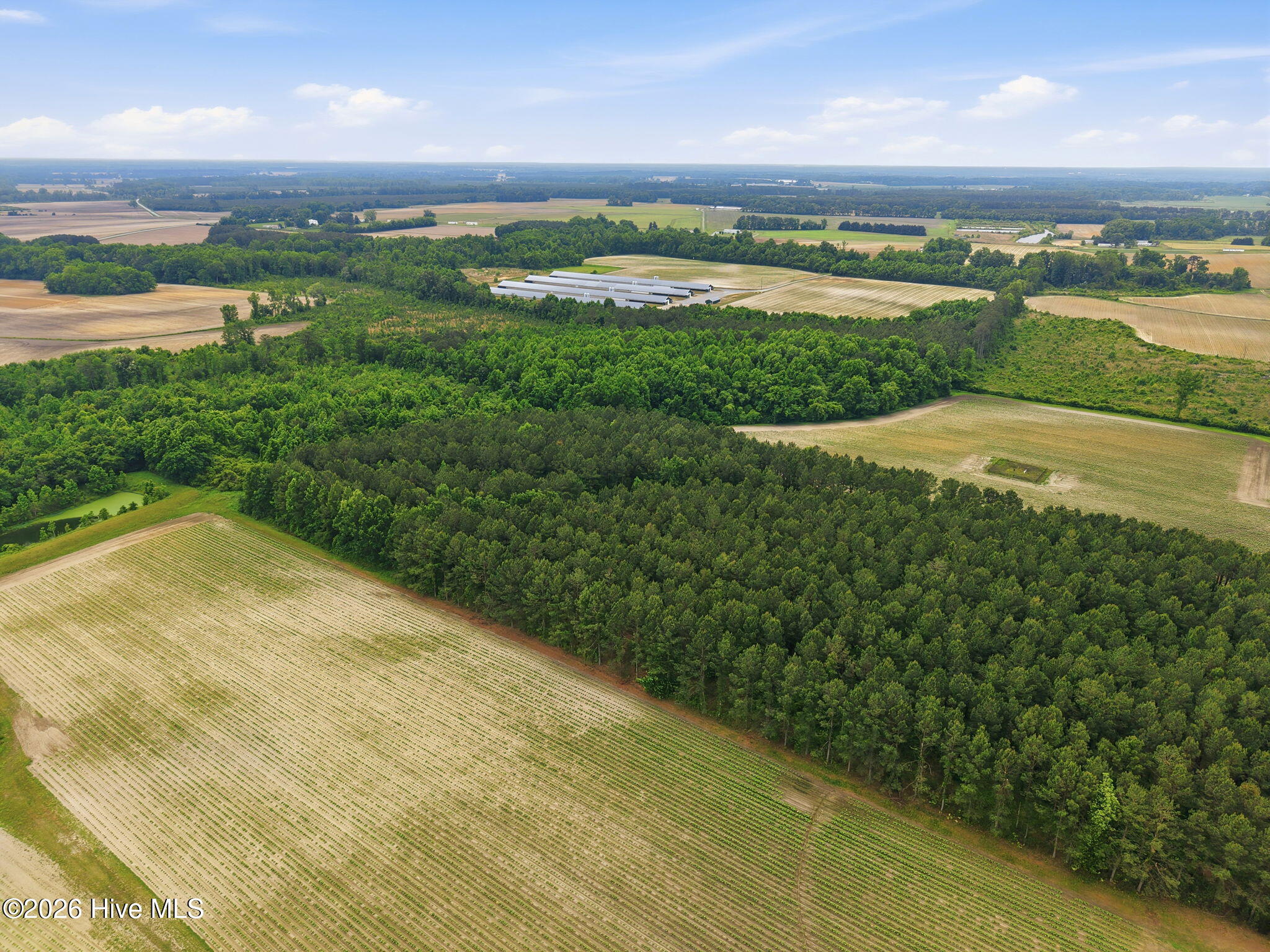 0 Fire Tower Road Walstonburg, NC 27888 - Photo 8 of 10 8-web-or-mls-DJI_20260511115228_0018_D