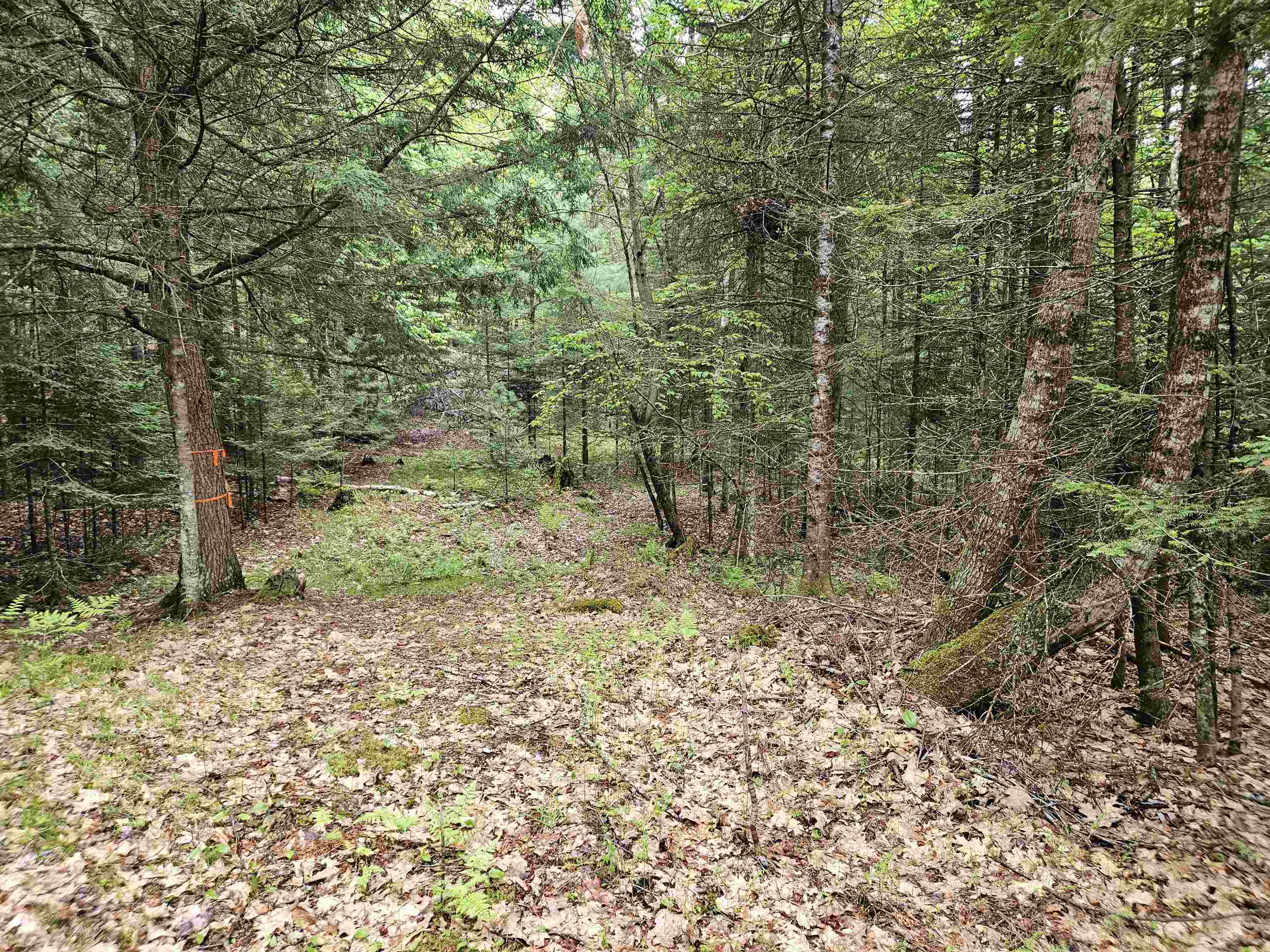 35 Langway Road Lyman, NH 03585 - Photo 6 of 6