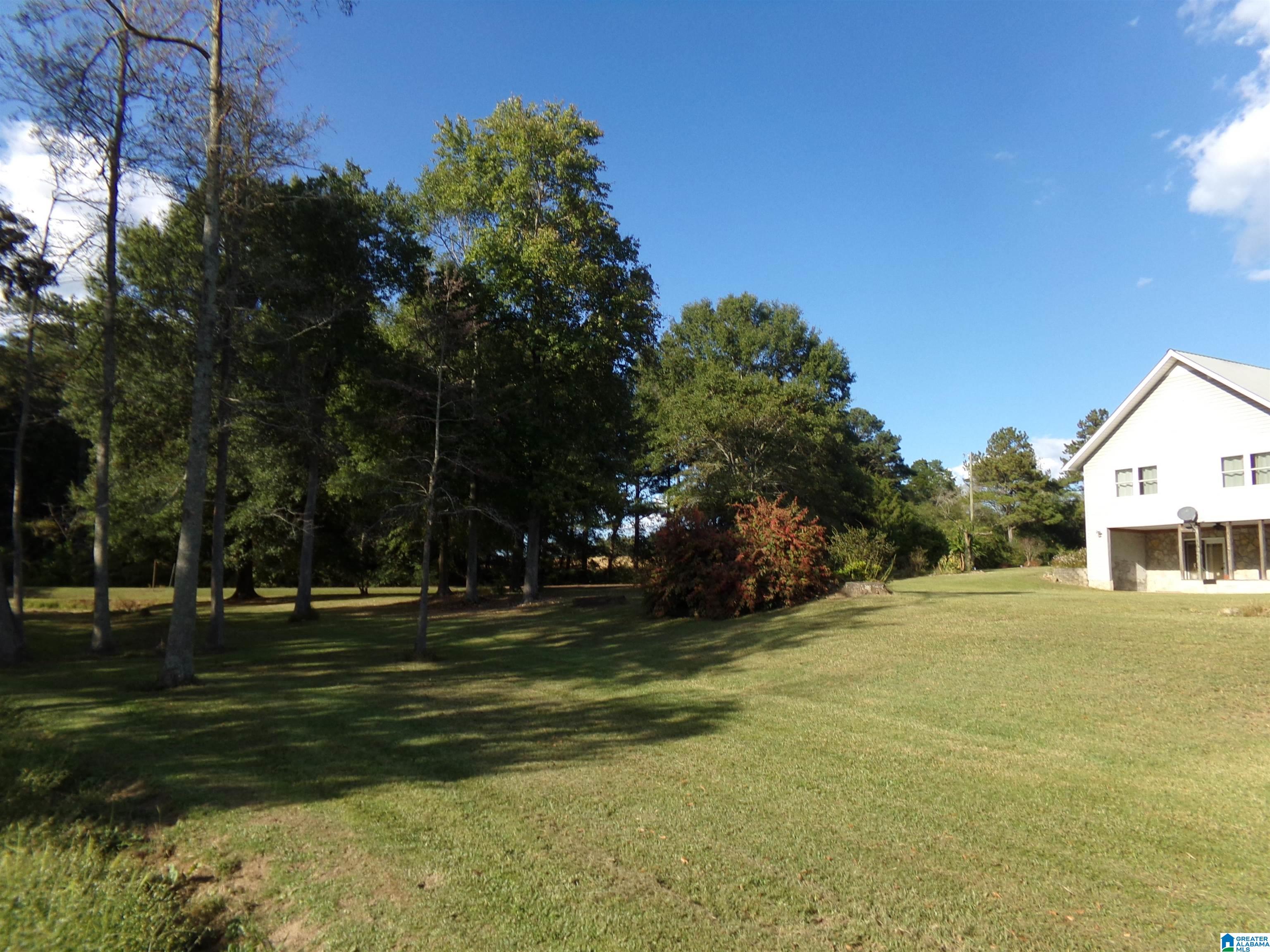 1035 Union Grove Road North Crossville, AL 35962 - Photo 17 of 99