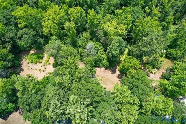 a view of a lush green forest with houses