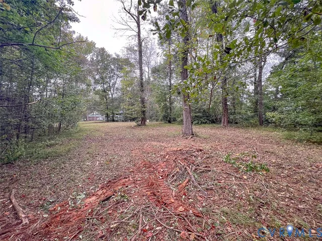 a view of a yard with a tree