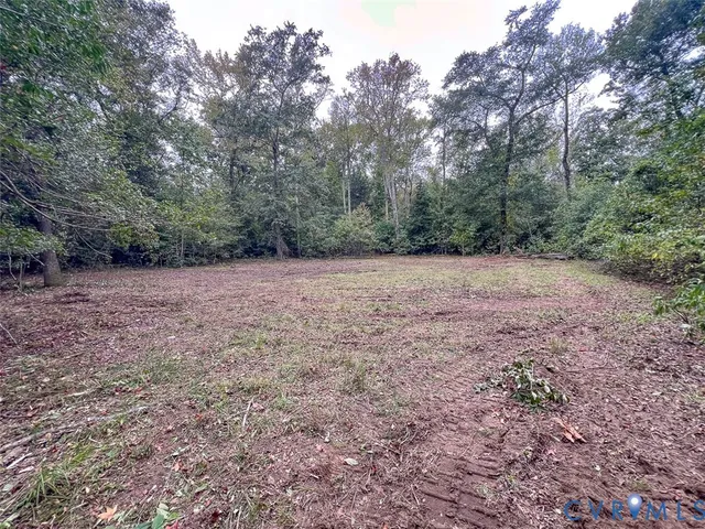 a view of empty area with green trees