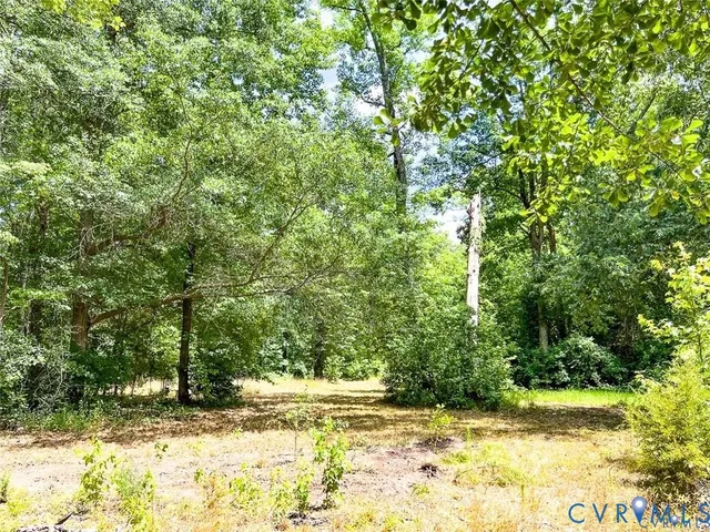 a backyard of a house with lots of trees