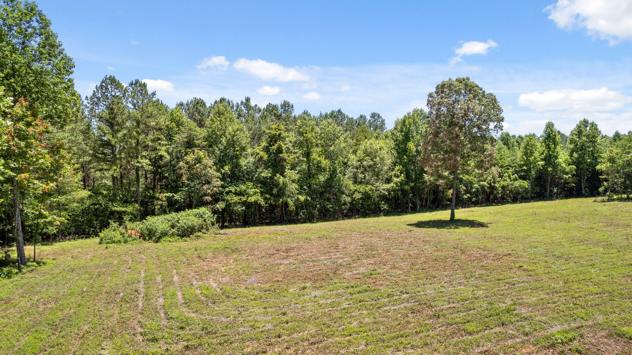 550 Northwest Hooper Gap Road Cleveland, TN 37312 - Photo 10 of 38 Gallery Image 10