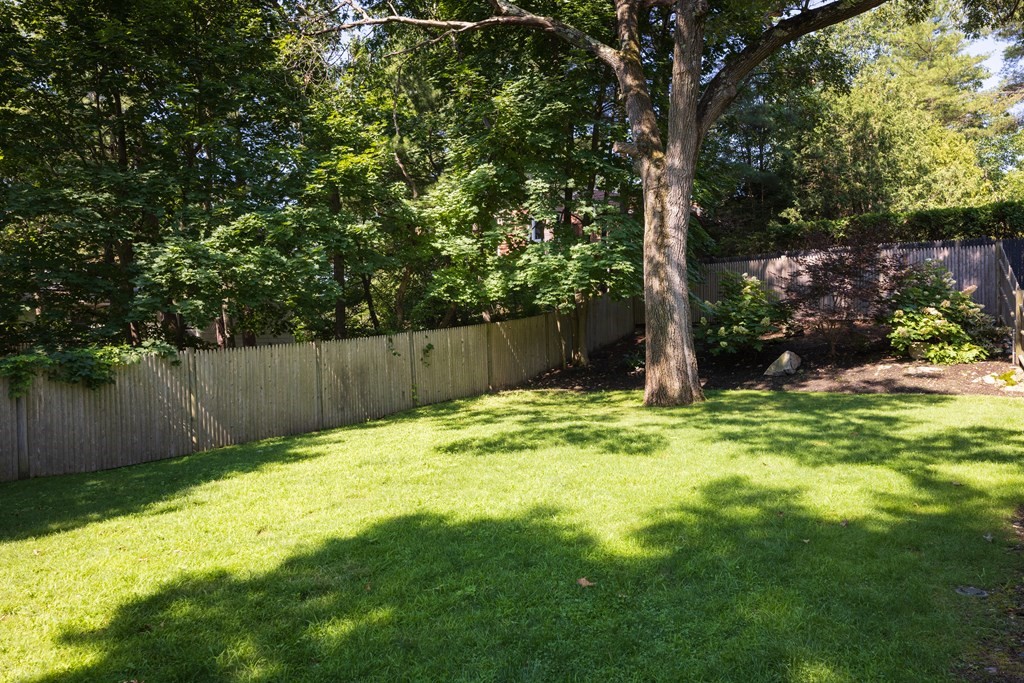 9 Hazel Terrace Arlington, MA 02474 - Photo 27 of 36 a bathroom with a small yard and large trees