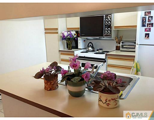 273 B Convent Road Monroe Township, NJ 08831 - Photo 6 of 15 a kitchen with a stove and a sink