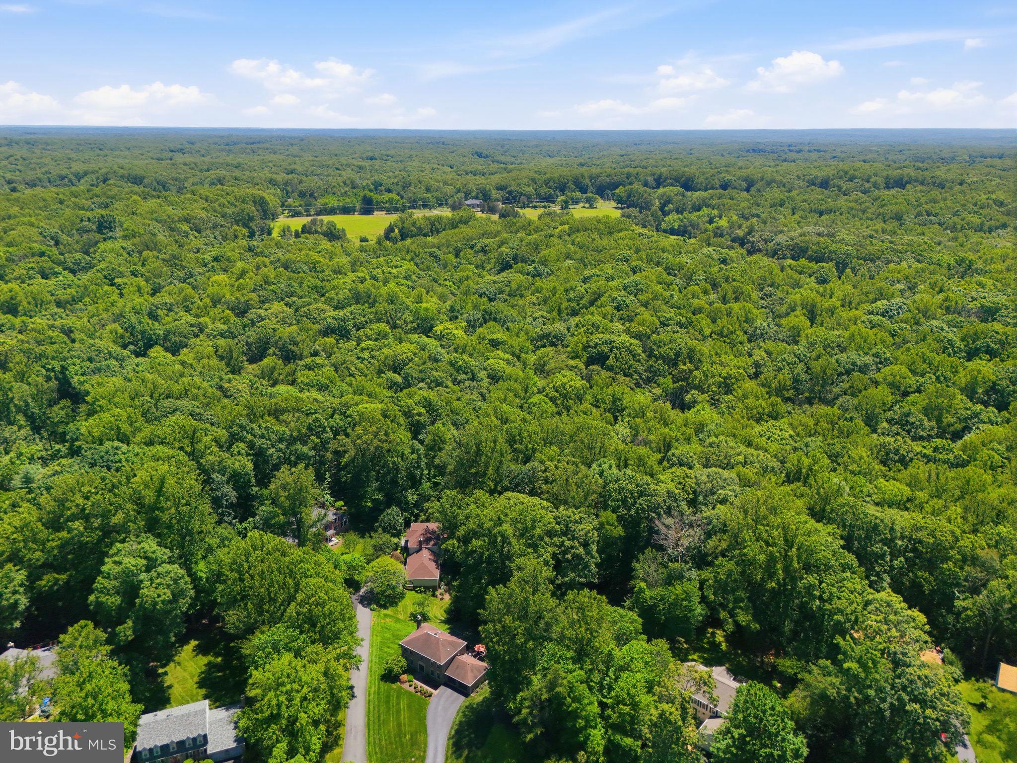 11661 Captain Rhett Lane Fairfax Station, VA 22039 - Photo 20 of 21