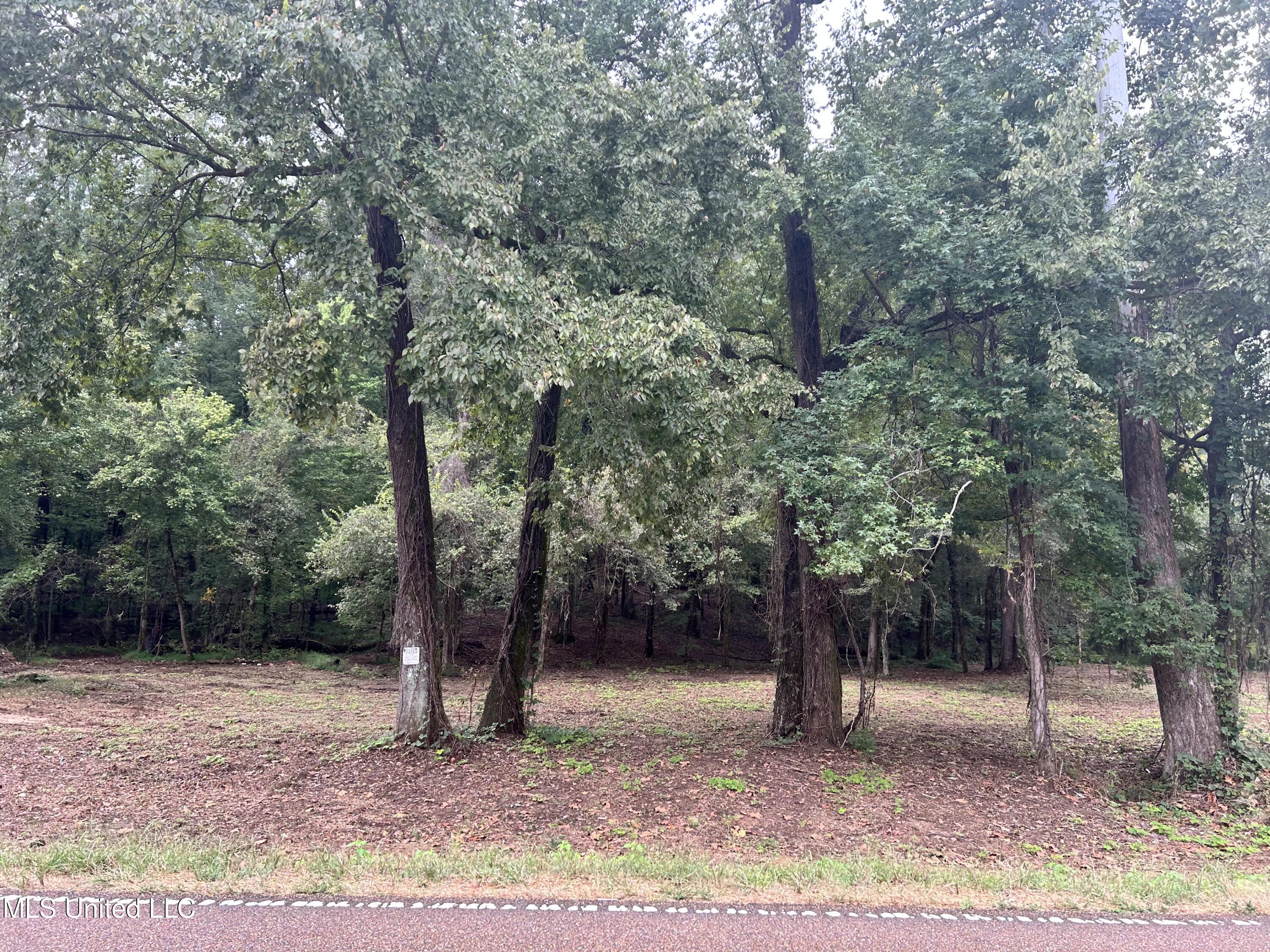 1 Fogg Road Nesbit, MS 38651 - Photo 3 of 3 IMG_6829
