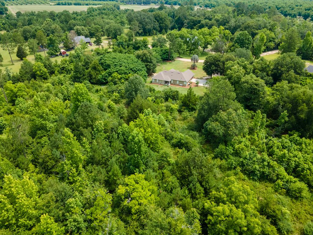 505 Rice Lane Ray City, GA 31645 - Photo 36 of 43 Gallery Image 36