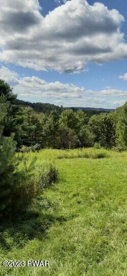 Creek Road Greentown, PA 18426 - Photo 5 of 16