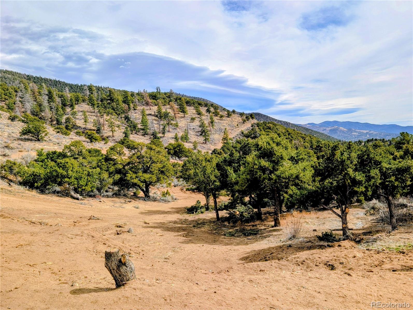 7436 Waligunda Road Fort Garland, CO 81133 - Photo 44 of 47