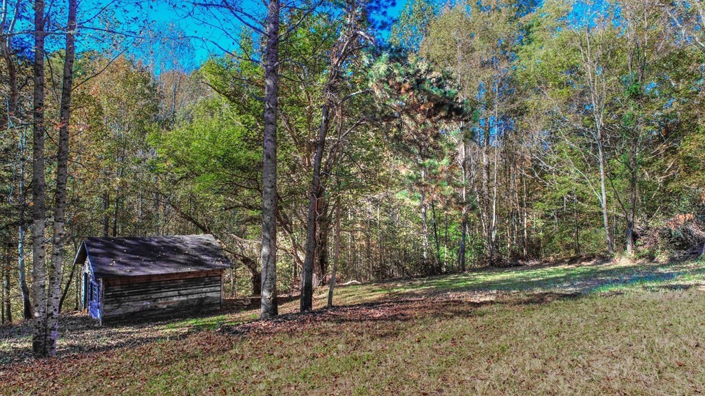 5 Rooster Town Road Cosby, TN 37722 - Photo 5 of 38 Gallery Image 5