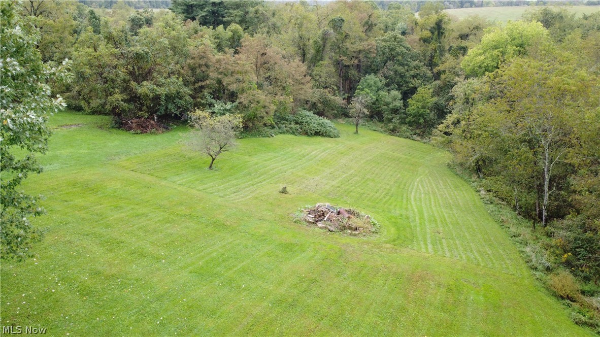 72622 Colerain Road Dillonvale, OH 43917 - Photo 16 of 17 Expansive green lawn with a tree line border